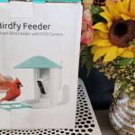 Birdfy Smart Bird Feeder with Camera for Bird Feeding and Watching - Blue